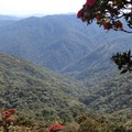 Mt. Victoria – výhled na barmské lesy