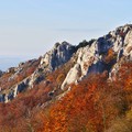 Malé Karpaty (jeseň)