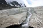 Ledovec Athabasca
