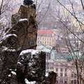 Karlovy Vary - kamzík nad městem