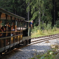 Vychylovka - historická lesná úvraťová železnica